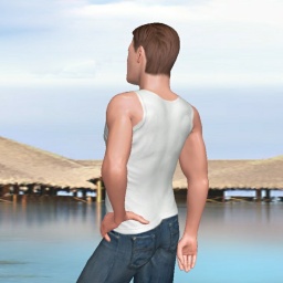 for 3D virtual sex game, join and contact heterosexual garrulous boy Djoker25141, usa, 