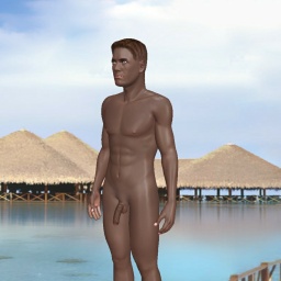 try virtual 3D sex with heterosexual sodomist boy JakeJJ, loads of scenes.