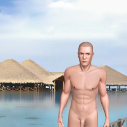 3D sex game community member heterosexual fiend boy Headshotfire, US, 
