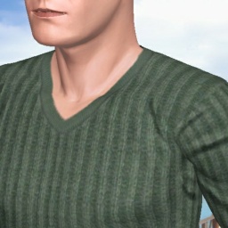 3Dsex game playing AChat community member  hot boy Tonystark125, Incest  taboo, 