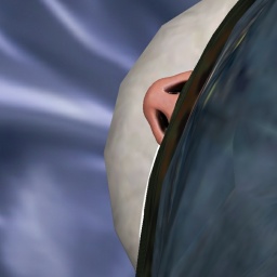 for 3D virtual sex game, join and contact bisexual erotomanic boy NoFapForIran, Iran, spurtingstrongly almost100