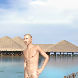 3D sex game community member heterosexual erotomanic boy WulfW17, Switzerland, 