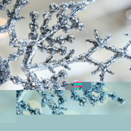 c01835589 0000001786319043