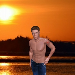 virtual sex game playing w. single girls like heterosexual amatory boy James_dean, US, Midwest, any ladies like lingerie irl?