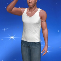3Dsex game playing AChat community member heterosexual eroticism boy AntonHermann, 