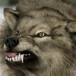 free cybersex experience with heterosexual sensual girl Shezawolf, USA, staying insane..........................wolfbaine