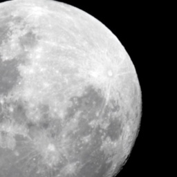 partner bisexual conversable girl Mad_sex,  for adult online game playing