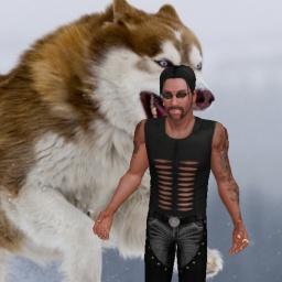 adults like heterosexual pervert boy Sablewolf, Shallow  minded  go away , what can i say?  play AChat online sex games
