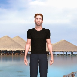 multiplayer virtual sex game player heterosexual verbose boy Lyzrd104, 510  150 lbs, 