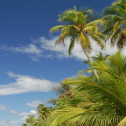 enjoy virtual sex games with mates like bisexual garrulous girl Stefanieoona, )