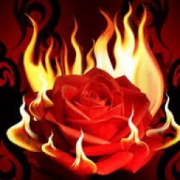 try virtual 3D sex with heterosexual lush girl Tamara6, Sub - owned :),           love & pain