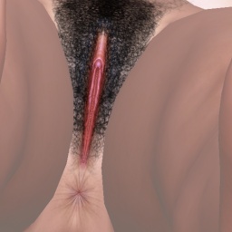 enjoy virtual sex games with mates like bisexual nymphomaniac girl Sexy_Ceyda, Turkey, cant resist older woman!!!