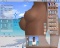 3d Erotic Client for Online Sex Game play thumb 14