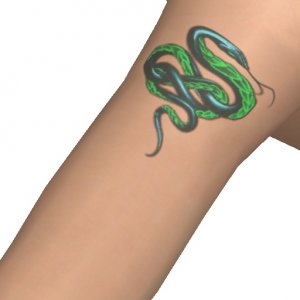 Snake tattoo on your arm, express yourself