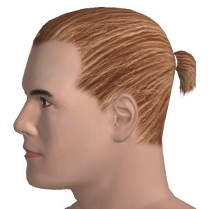 My head is more important, than my hair