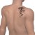 Tattoo, Tattoo on your shoulder, tiger