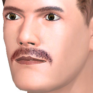 Be macho, be sexy!