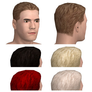 Classic look varied in different colors