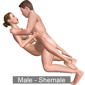 Virtual sex game Gifts 1 Comfortable missionary, Comfortable missionary