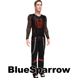Costume set, From BlueSparrow