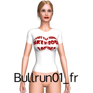 From Bullrun01_fr