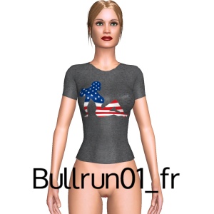 From Bullrun01_fr