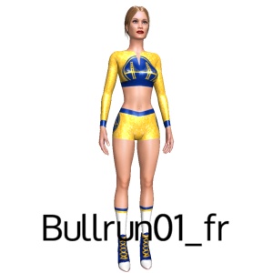 From Bullrun01_fr