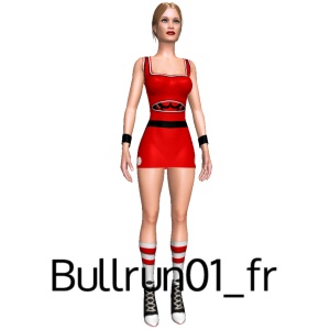 From Bullrun01_fr