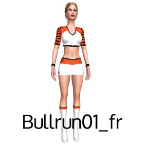 From Bullrun01_fr