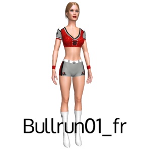 From Bullrun01_fr