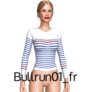 From Bullrun01_fr