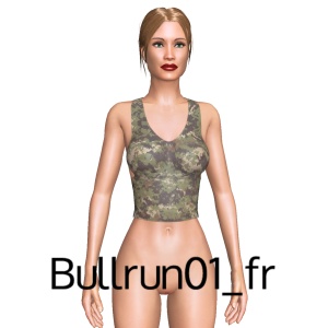From Bullrun01_fr