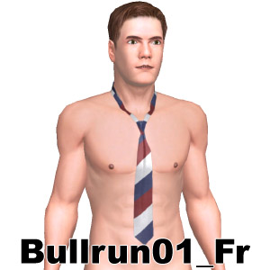 From Bullrun01_Fr