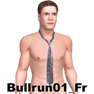 From Bullrun01_Fr