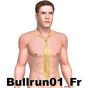 From Bullrun01_Fr