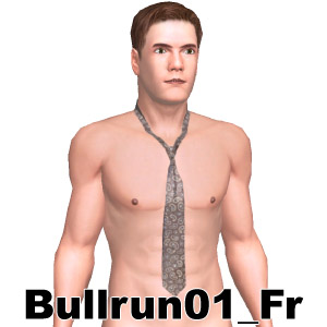 From Bullrun01_Fr