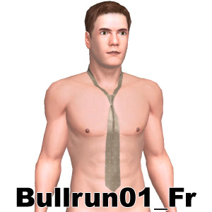 From Bullrun01_Fr