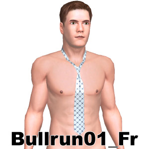 From Bullrun01_Fr