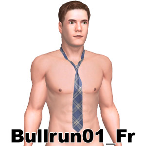 From Bullrun01_Fr