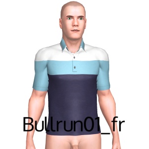 From Bullrun01_fr