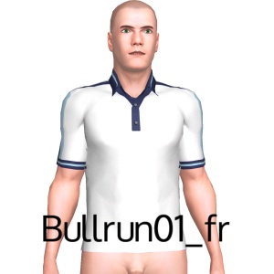 From Bullrun01_fr