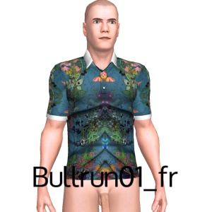 From Bullrun01_fr