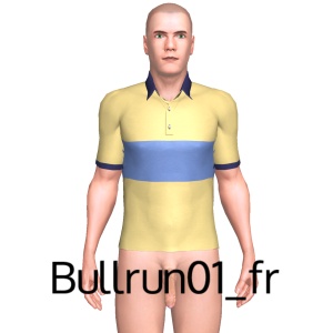 From Bullrun01_fr
