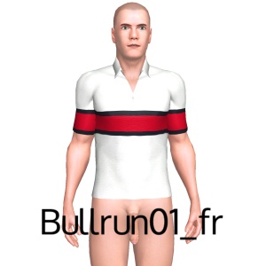 From Bullrun01_fr
