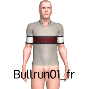 From Bullrun01_fr