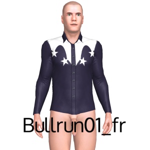 From Bullrun01_fr