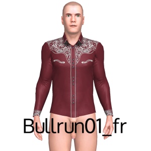 From Bullrun01_fr