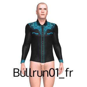 From Bullrun01_fr