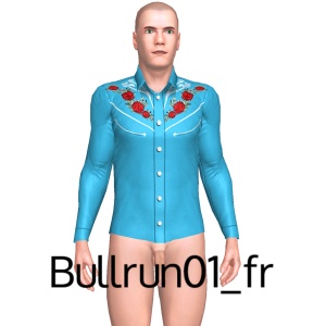 From Bullrun01_fr