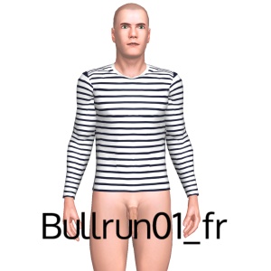 From Bullrun01_fr